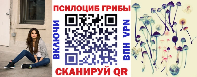 darknet наркотические препараты  ОМГ ОМГ ONION  Омск  Галлюциногенные грибы GOLDEN TEACHER 